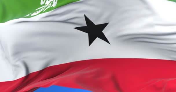 Somaliland Bayrak Sallayarak Rüzgarda Yavaş Mavi Gökyüzünde Döngü — Stok video