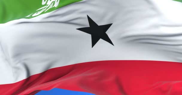 Somaliland Flag Waving Wind Slow Blue Sky Loop — Stock Video