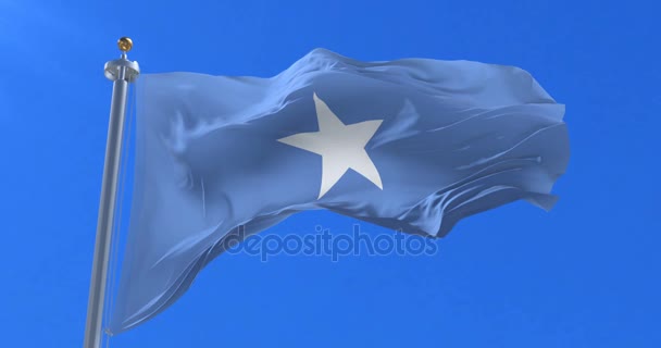 Somali Rüzgarda Yavaş Mavi Gökyüzünde Sallayarak Bayrak Döngü — Stok video