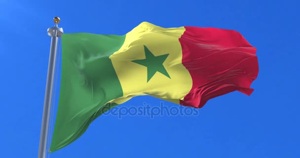 Bandera Senegal Ondeando Viento Lentamente Con Cielo Azul Bucle — Vídeo de stock