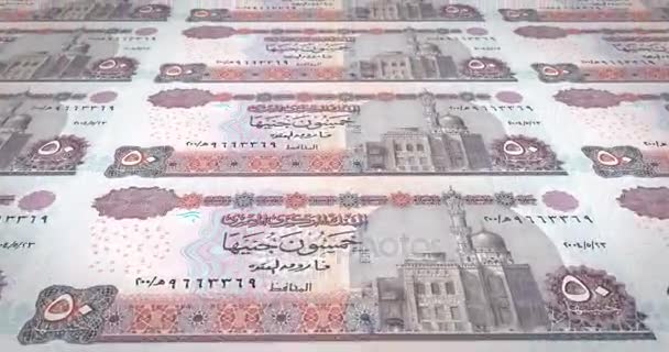 Banknoten Fünfzig Ägyptischen Pfund Von Ägyptischen Rollen Bargeld Schleife — Stockvideo