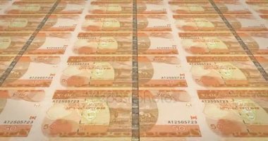 Haddeleme, nakit para, banknot elli Etiyopya Birri Etiyopya, döngü