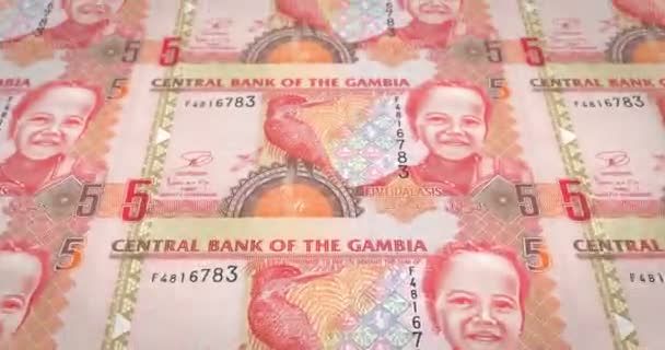 Banknoty Pięciu Dalasis Gambijski Gambia Toczenia Pieniądze Pętla — Wideo stockowe