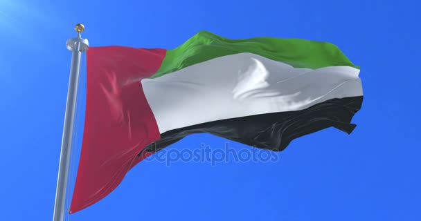 Vlajka Spojených Arabských Emirátů Mávání Smyčka — Stock video