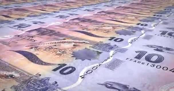 Billets Dix Dollars Fidjiens Roulement Fidji Argent Comptant Boucle — Video