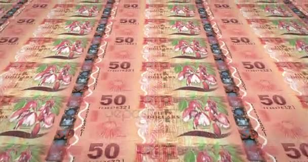 Банкноты Пятьдесят Фиджийских Долларов Фиджи Ролл Наличные Деньги Петля — стоковое видео