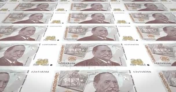 Billetes Veinte Lari Georgianos República Georgia Dinero Efectivo Bucle — Vídeo de stock