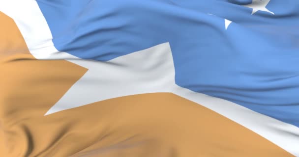 Drapeau Argentine Antarctique Tierra del Fuego agitant 