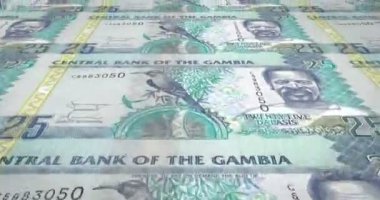 Haddeleme, nakit para, banknot, Gambiya, yirmi beş Gambiya dalasis döngü