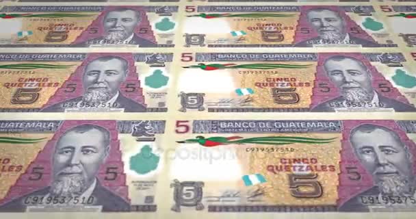 Τραπεζογραμμάτια Των Πέντε Κουετσάλ Γουατεμάλας Γουατεμάλα Τροχαίο Μετρητά Χρήματα Βρόχου — Αρχείο Βίντεο