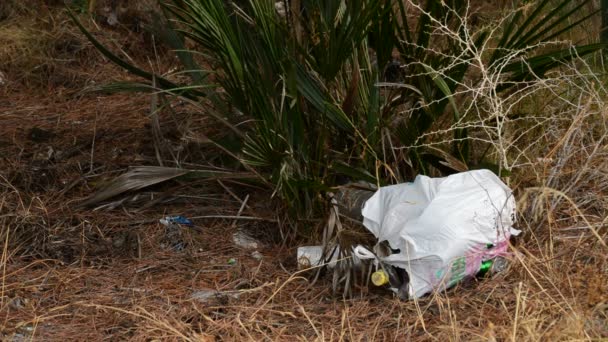 Bolsas Basura Con Basura Bosque Pinos — Vídeos de Stock