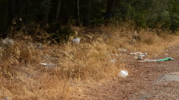 Poubelles Dans Une Pinède — Video