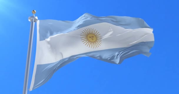 Argentina Flagga Vajande Vinden Blå Himmel Slinga — Stockvideo