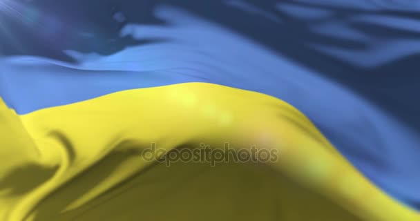 Ukraine Flag Waving Wind Loop — Stock Video