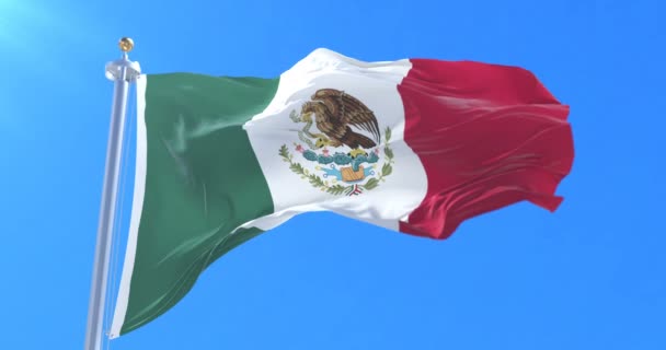 Mexico Flag Waving Wind Blue Sky Loop — Stock Video