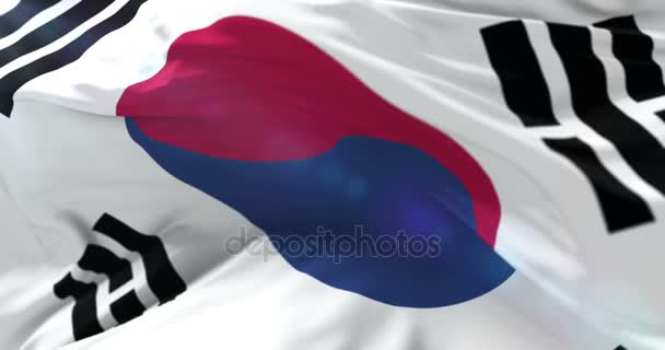 Bandiera Della Corea Del Sud Sventola Vento Loop — Video Stock