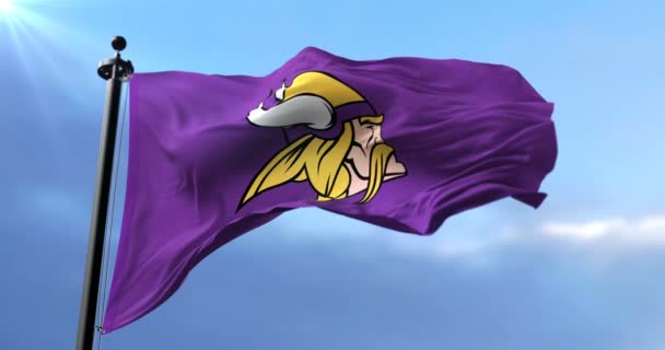 Прапор Міннесоти Вікінгів Команда Американського Футболу Національної Футбольної Ліги Нфл — стокове відео