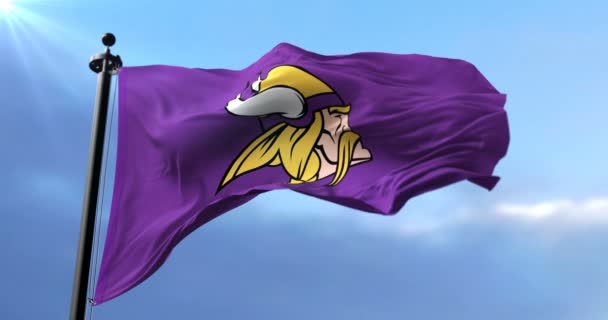 Minnesota Vikings Drapeau Équipe Football Américain Ligue Nationale Football Nfl — Video