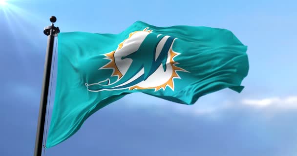Miami Dolphins Flag American Football Team National Football League Nfl — Stock Video