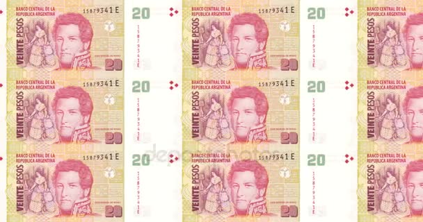 Banknoty Dwudziestu Argentyńskich Pesos Republika Argentyńska Pieniądze Pętla — Wideo stockowe
