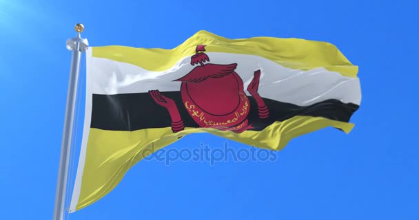 Bandiera Della Nazione Del Brunei Bandiera Sventola Vento Lento Loop — Video Stock