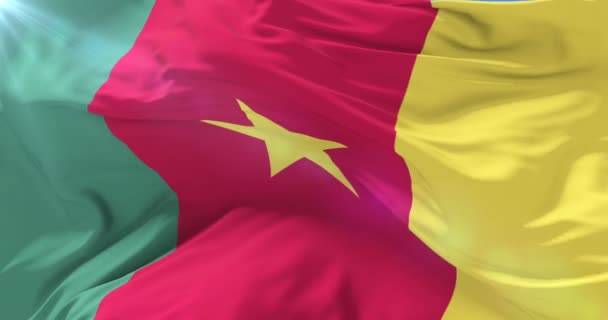 Drapeau Cameroun Agitant Vent Lentement Avec Ciel Bleu Boucle — Video