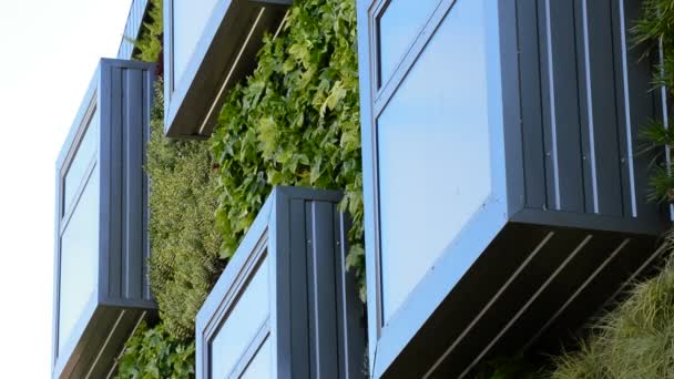 Fenêtres Dans Bâtiment Vert Moderne Concept Nature — Video