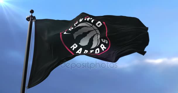 Toronto Raptors Bandera Equipo Baloncesto Profesional Nba Ondeando Bucle — Vídeo de stock