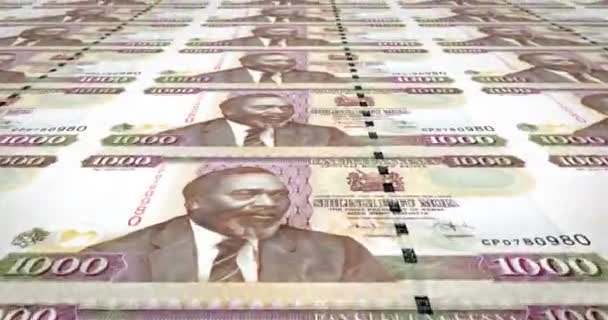Банкноты Тысяче Кенийских Шиллингов Наличные Деньги Петля — стоковое видео