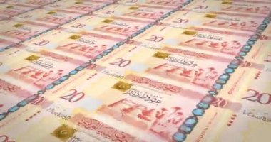 Ekranda, nakit para, haddeleme Libya yirmi Libya dinar banknotlar döngü