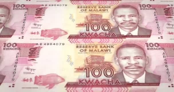 Banknoty Stu Kwacza Malawijska Malawi Toczenia Pieniądze Pętla — Wideo stockowe