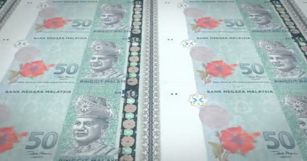 Banknot Elli Malezya Ringiti Malezya Nakit Para Döngü — Stok video