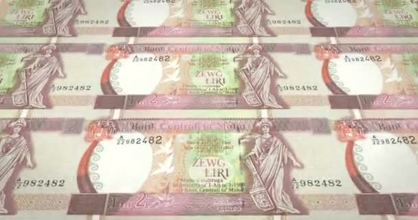 Billetes Dos Liras Maltesas Liras Malta Dinero Efectivo Bucle — Vídeos de Stock
