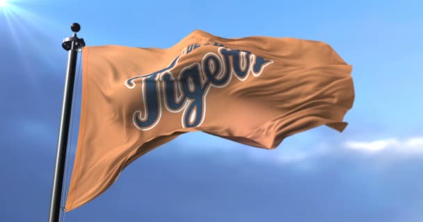 Bandera Del Equipo Béisbol Detroit Tigers Béisbol Profesional Loop — Vídeo de stock