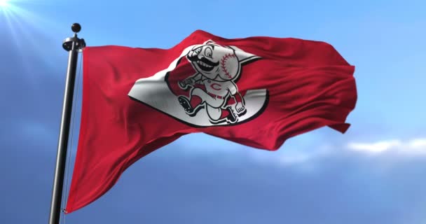 Flagge Der Mannschaft Der Cincinnati Reds Amerikanisches Baseball Team Schleife — Stockvideo