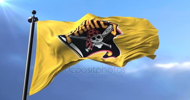 Bendera Tim Pittsburgh Pirates Amerika Bisbol Profesional Loop — Stok Video