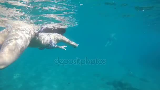 Meisje Zwemmen Snorkelen Een Strand Met Turquoise Wateren Langzaam — Stockvideo
