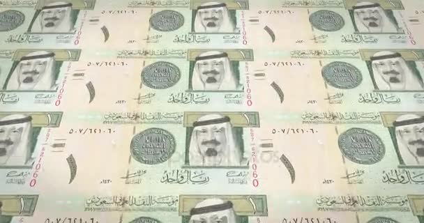 Banknoten Fünfzig Saudi Riyals Saudi Arabia Bargeld Schleife — Stockvideo
