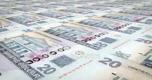 Banknoten Von Zwanzig Surinamesischen Dollars Bargeld Schleife — Stockvideo