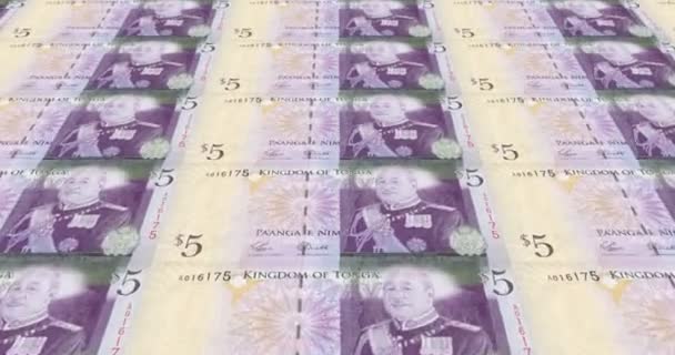 Banknoten Von Fünf Tongan Anga Der Tonga Bargeld Schleife — Stockvideo