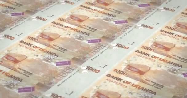 Bankbiljetten Van Duizend Oegandese Shilling Van Oeganda Contant Geld Lus — Stockvideo