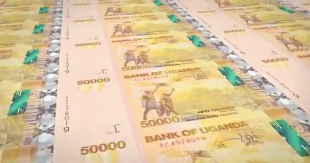 Bankjegyek Ötvenezer Ugandai Shilling Uganda Készpénz Hurok — Stock videók