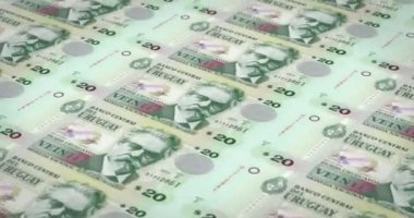 Nakit para, döngü banknotlar, Uruguay, yirmi Uruguay Pezosu