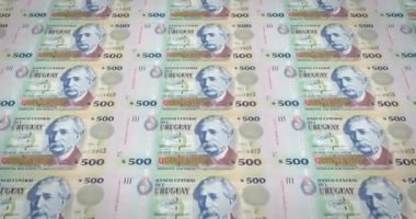 Nakit para, döngü banknotlar, Uruguay, beş yüz Uruguay Pezosu