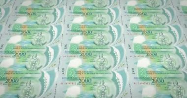 İki bin Vanuatu vatu Vanuatu, nakit para, banknot döngü