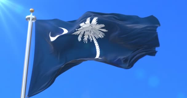 Vlag Van Amerikaanse Staat South Carolina Regio Van Verenigde Staten — Stockvideo