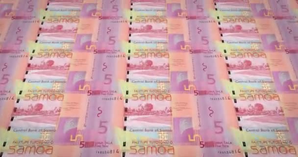 Biljetten Van Vijf Samoan Tala Van Samoa Contant Geld Lus — Stockvideo