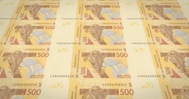 Beş yüz Batı Afrika Cfa Frangı Afrika, nakit para, banknot döngü