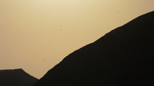 Paragliders Beoefenen Van Paragliding Vliegen Bergen Bij Zonsondergang — Stockvideo