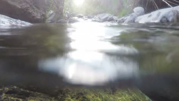 Submerso Rio Vista Parte Superior Inferior Rio — Vídeo de Stock